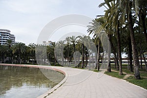 Citypark with palmtrees in the old channel of Turia river in Valencia, Spain. Parc Turia in Valencia