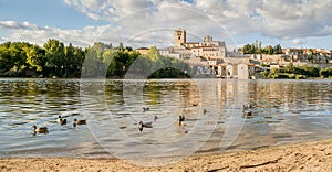 Cityscape with 12th century Romanesque cathedral and watermills on the Duero River in Zamora, Castilla y LeÃ³n, Spain.