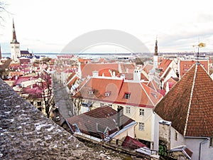 Cityscape aerial view on the old town with saint Nicholas church tower and Toompea hill in Tallinn, Estonia