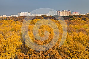 Cityscape with autumn urban park