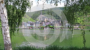 Cityscape of Beilstein at Moselle River. Birch tree in front