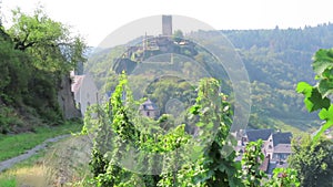 Cityscape of Beilstein at Moselle river surrounded by vineyards