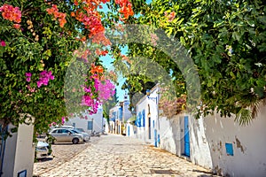 Cityscape of blue and white town Sidi Bou Said. Tunisia, North Africa