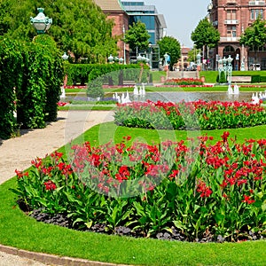 Cityscape with bright flower beds and lawns. Friedrichsplatz square in Mannheim - Germany