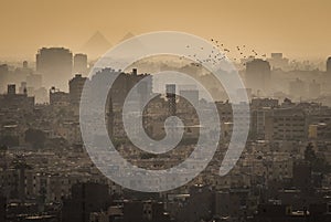 Cityscape of Cairo, with the Great Pyramids of Gizeh in the Background