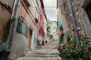 cityscape grisia street view in Rovinj Croatia with yellow houses doors and shutters