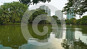 Cityscape. High-rise buildings of the business district stand in the background of a park with a lake. urban style.