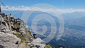 Cityscape of Innsbruck viewed at the top along Alpine chough