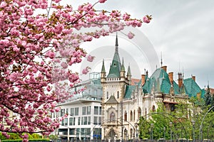 Panoráma mesta kosice, slovensko s historickou budovou jakabov palác na pozadí kvetov sakury v jarný deň