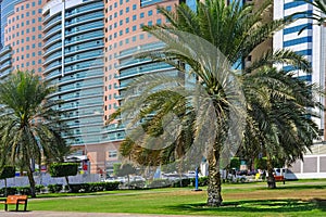 Cityscape with landscaped Green public park with palm tree against modern residential buildings in Abu Dhabi, UAE