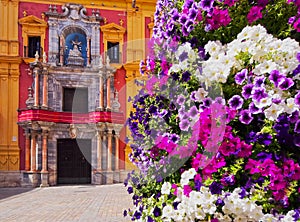Cityscape of Malaga, Spain photo