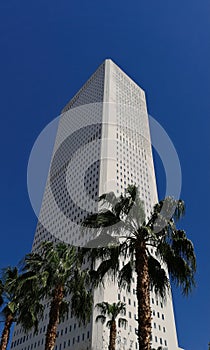 Cityscape palm tree clearsky tropical climate office building architecture