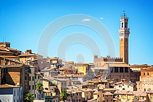 Cityscape of Siena, aerial view with the Torre del Mangia, Tuscany Italy
