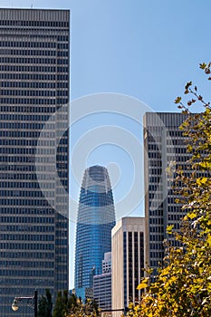 Cityscape with skyscrapers and Salesforce Tower on a sunny day in San Francisco