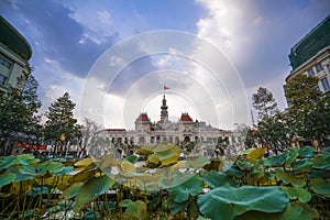 Cityscape view of HoChiMinh City People`s Committee and Nguyen Hue Walking Street , Vietnam with blue sky at sunset