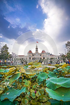 Cityscape view of HoChiMinh City People`s Committee and Nguyen Hue Walking Street , Vietnam with blue sky at sunset