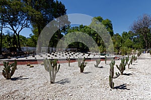 Ciudad de Mexico CDMX, Mexico 2017