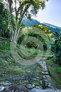 Ciudad Perdida, ancient ruins in Sierra Nevada mountains. Santa Marta, Colombia wilderness