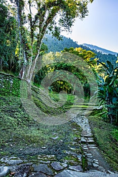 Ciudad Perdida, ancient ruins in Sierra Nevada mountains. Santa Marta, Colombia wilderness photo