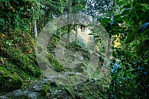 Ciudad Perdida, ancient ruins in Sierra Nevada mountains. Santa Marta, Colombia wilderness photo