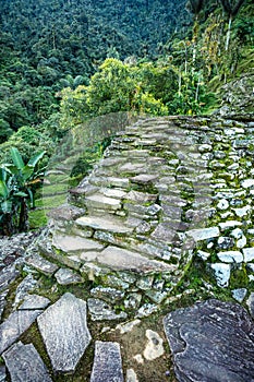 Ciudad Perdida, ancient ruins in Sierra Nevada mountains. Santa Marta, Colombia wilderness photo