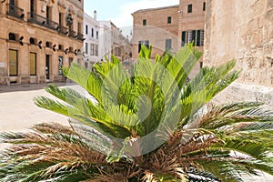 Ciutadella old town on Menorca island