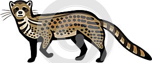 Civet