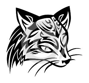 Civet cat tattoo photo