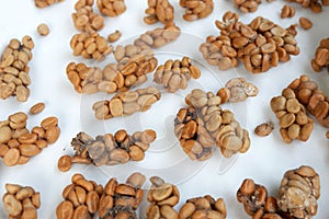 Civet coffee beans in Southeast Asia.