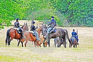 Civil War Re-enactment with horses