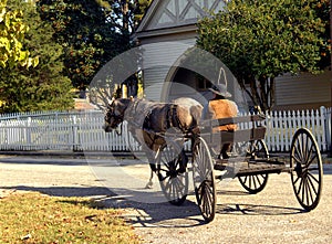 Civil War Weekend Wagon Rides