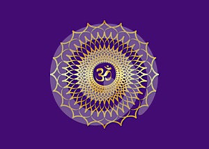 Crown Chakra Sahasrara. 7th chakra is located at the top of the head. It represent states of higher consciousness and divine icon photo