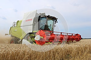 Claas MÃÂ¤hdrescher bei der Weizenernte