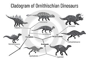 Cladogram of ornithischian dinosaurs. Monochrome vector illustration of diagram showing relations among ornithischia -