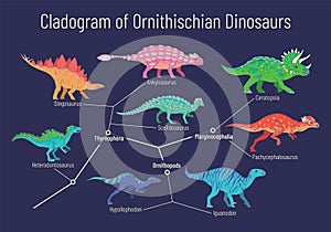 Cladogram of ornithischian dinosaurs. Vector illustration of diagram showing relations among ornithischia - thyreophora,