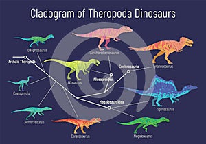 Cladogram of theropoda dinosaurs. Colorful vector illustration on blue background. Diagram showing relations among theropods -