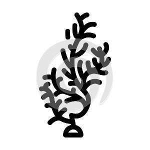 cladophora glomerata seaweed line icon vector illustration