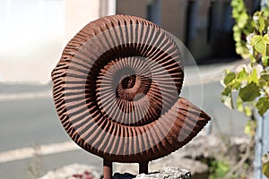 Clam shell made of rusty metal