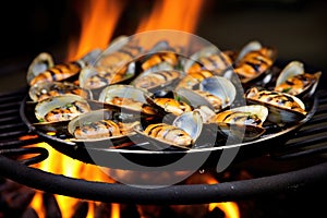 clam sizzling on a hot grill