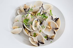 Clams