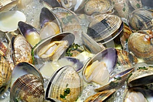 Clams