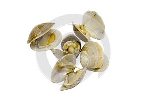 Clams