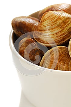 Clams in a bowl