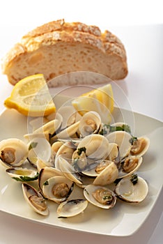 Clams bulhao pato photo