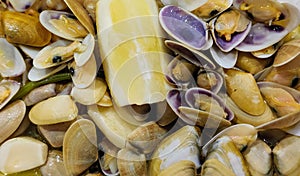 Clams bulhÃ£o pato - tipical portuguese dish