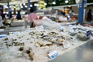 Clams in ice at fish market