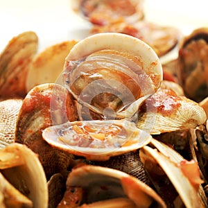 Clams in marinara sauce