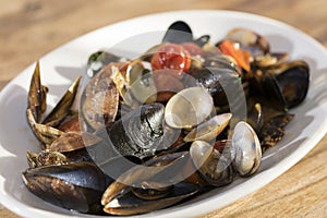 Clams and mussels