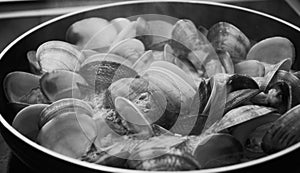 Clams in the north of spain