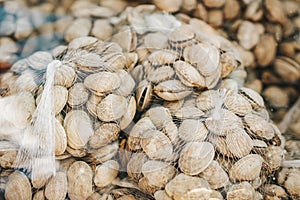 Clams packaged in nets for sale. Seafood sale in fish supermarket, real scene in food market behind glass. Soft focus